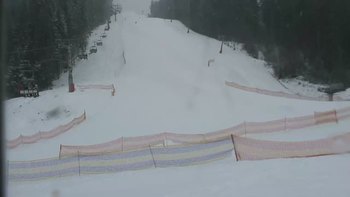 Буковель 31 січня 2020 року, 2020-01-31 13:00