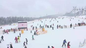 Буковель 10 січня 2019 року, 2019-01-10 13:00