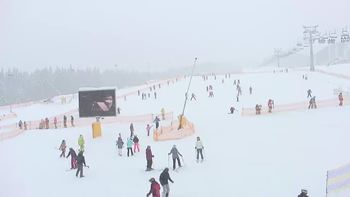 Буковель 16 січня 2019 року, 2019-01-16 10:00