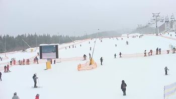 Буковель 17 січня 2019 року, 2019-01-17 13:00