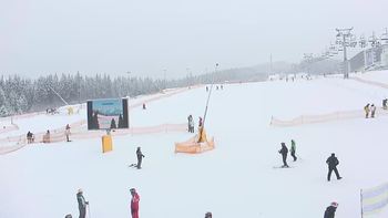 Буковель 20 січня 2019 року, 2019-01-20 10:00