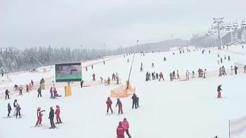 Буковель 22 січня 2019 року, 2019-01-22 10:00