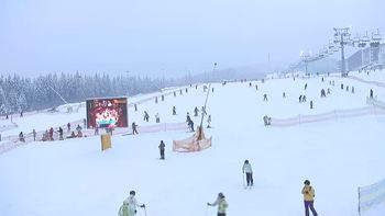 Буковель 23 січня 2019 року, 2019-01-23 16:00
