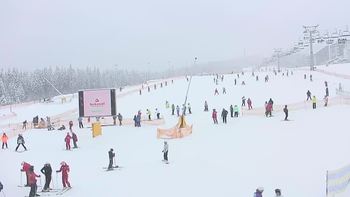 Буковель 24 січня 2019 року, 2019-01-24 13:00
