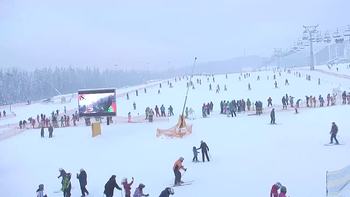 Буковель 25 січня 2019 року, 2019-01-25 16:00