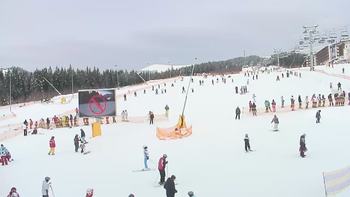 Буковель 28 січня 2019 року, 2019-01-28 16:00