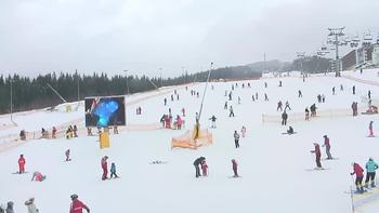 Буковель 29 січня 2019 року, 2019-01-29 10:00
