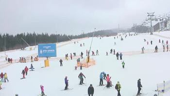 Буковель 29 січня 2019 року, 2019-01-29 13:00