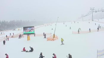 Буковель 31 січня 2019 року, 2019-01-31 10:00