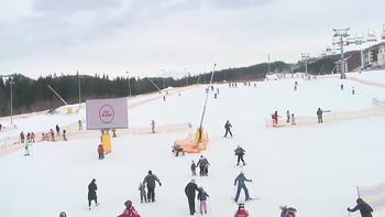 Буковель 3 лютого 2019 року, 2019-02-03 10:00