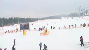 Буковель 5 лютого 2019 року, 2019-02-05 10:00