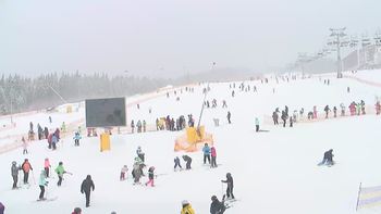 Буковель 12 лютого 2019 року, 2019-02-12 13:00