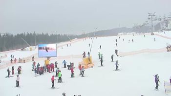 Буковель 20 лютого 2019 року, 2019-02-20 10:00