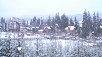 Буковель 11 грудня 2019 року, 2019-12-11 16:00