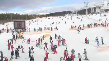 Буковель 11 січня 2020 року, 2020-01-11 13:00