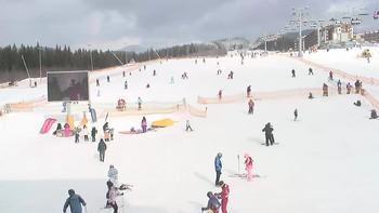 Буковель 29 січня 2020 року, 2020-01-29 13:00