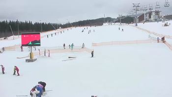 Буковель 31 січня 2020 року, 2020-01-31 10:00