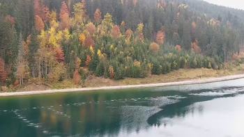 Буковель 29 жовтня 2020 року, 2020-10-29 13:00