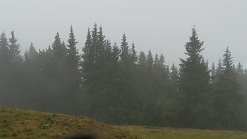 Буковель 3 листопада 2020 року, 2020-11-03 13:00