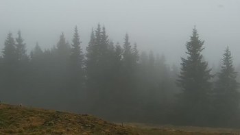 Буковель 17 листопада 2020 року, 2020-11-17 13:00