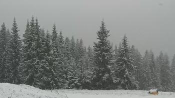 Буковель 20 листопада 2020 року, 2020-11-20 13:00