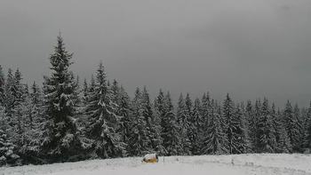 Буковель 20 листопада 2020 року, 2020-11-20 16:00