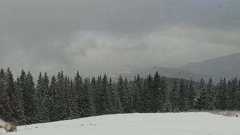 Буковель 29 листопада 2020 року, 2020-11-29 13:00