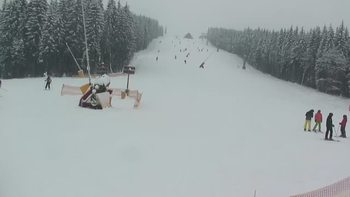 Буковель 20 січня 2019 року, 2019-01-20 13:00