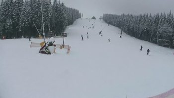 Буковель 20 січня 2019 року, 2019-01-20 16:00