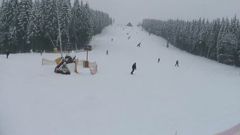 Буковель 22 січня 2019 року, 2019-01-22 16:00