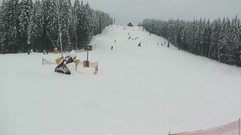 Буковель 25 січня 2019 року, 2019-01-25 13:00