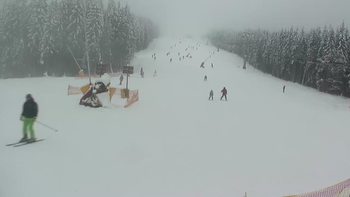 Буковель 27 січня 2019 року, 2019-01-27 13:00