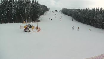 Буковель 28 січня 2019 року, 2019-01-28 16:00