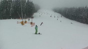 Буковель 29 січня 2019 року, 2019-01-29 10:00