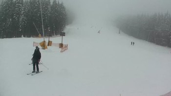 Буковель 29 січня 2019 року, 2019-01-29 13:00