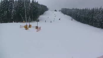 Буковель 29 січня 2019 року, 2019-01-29 16:00