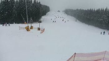 Буковель 31 січня 2019 року, 2019-01-31 13:00