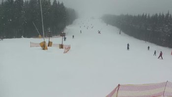 Буковель 1 лютого 2019 року, 2019-02-01 10:00