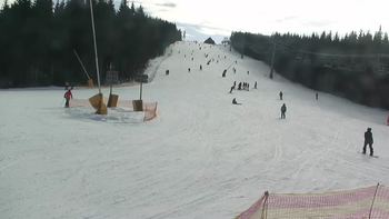 Буковель 4 лютого 2019 року, 2019-02-04 13:00