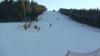 Буковель 8 лютого 2019 року, 2019-02-08 16:00