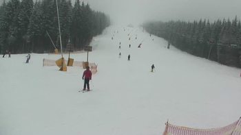 Буковель 11 лютого 2019 року, 2019-02-11 13:00