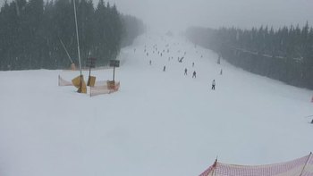 Буковель 20 лютого 2019 року, 2019-02-20 10:00