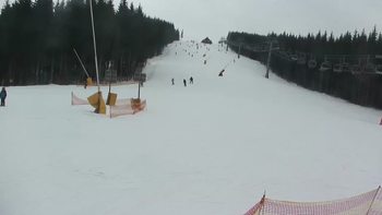 Буковель 20 лютого 2019 року, 2019-02-20 16:00