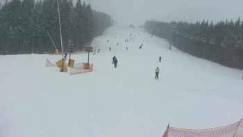 Буковель 22 лютого 2019 року, 2019-02-22 10:00