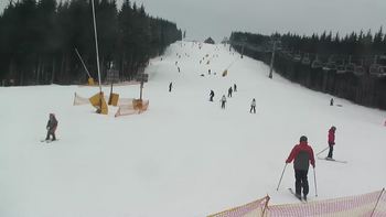 Буковель 24 лютого 2019 року, 2019-02-24 13:00
