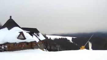 Буковель 29 січня 2018 року, 2018-01-29 16:00