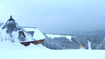 Буковель 14 січня 2019 року, 2019-01-14 16:00