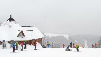Буковель 20 січня 2019 року, 2019-01-20 13:00