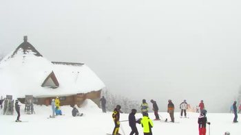 Буковель 27 січня 2019 року, 2019-01-27 13:00