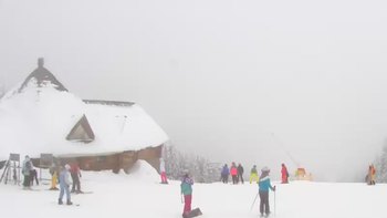 Буковель 27 січня 2019 року, 2019-01-27 16:00